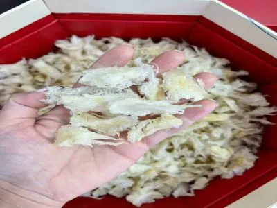 Chân Yến Tinh Chế Hộp 100g